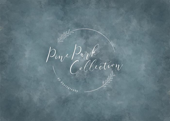 Kate Abstract Texture Cadet Blue Backdrop Designed By Pine Park Collection