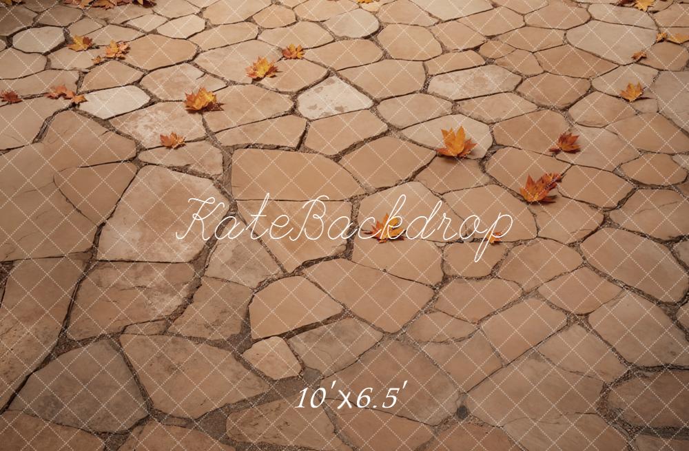 Kate Autumn Leaves Stone Path Fleece Backdrop Designed by Emetselch - Image 2