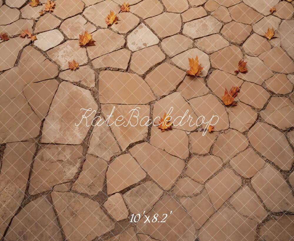 Kate Autumn Leaves Stone Path Fleece Backdrop Designed by Emetselch - Image 3
