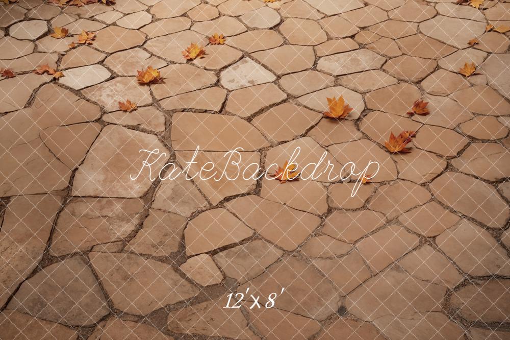 Kate Autumn Leaves Stone Path Fleece Backdrop Designed by Emetselch - Image 4