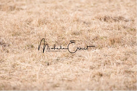 Kate Autumn Tundra grass Backdrop Designed By Michele Ernst Photography