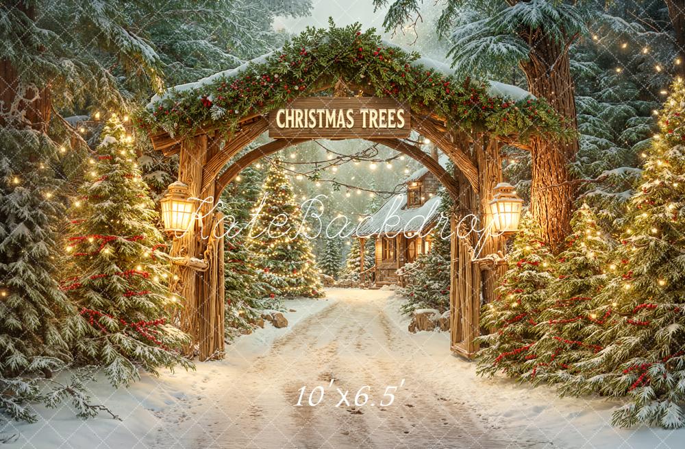 Kate Christmas Arch Snowy Trees Path Backdrop Designed by Emetselch - Image 4