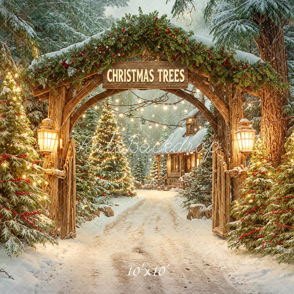 Kate Christmas Arch Snowy Trees Path Backdrop Designed by Emetselch - Image 7
