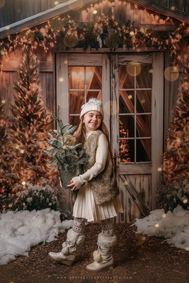 Kate Christmas Barn Lights Tree Fleece Backdrop Designed by Emetselch