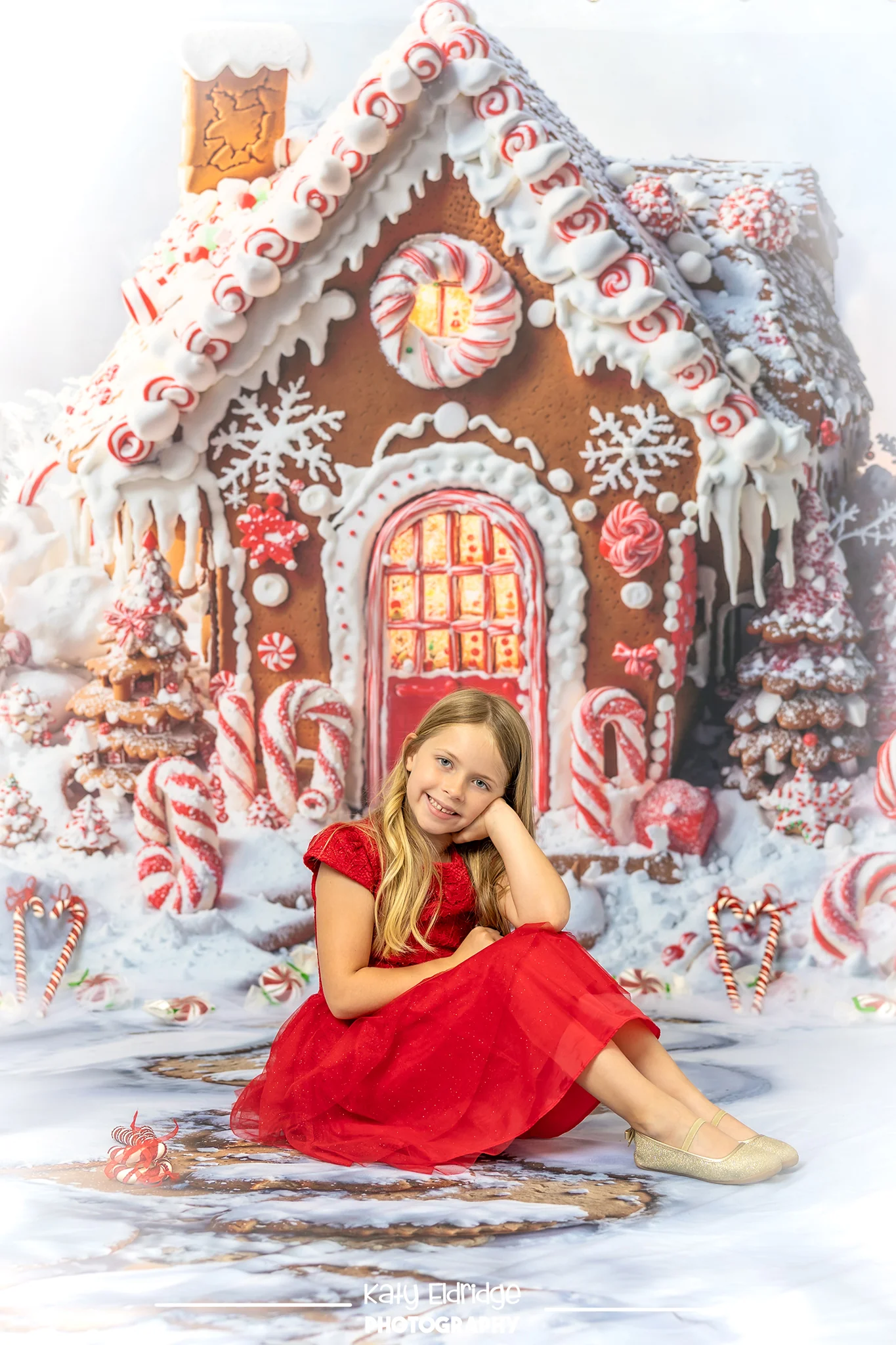 Kate Christmas Gingerbread House Backdrop+Snowy Stone Path Floor Backdrop