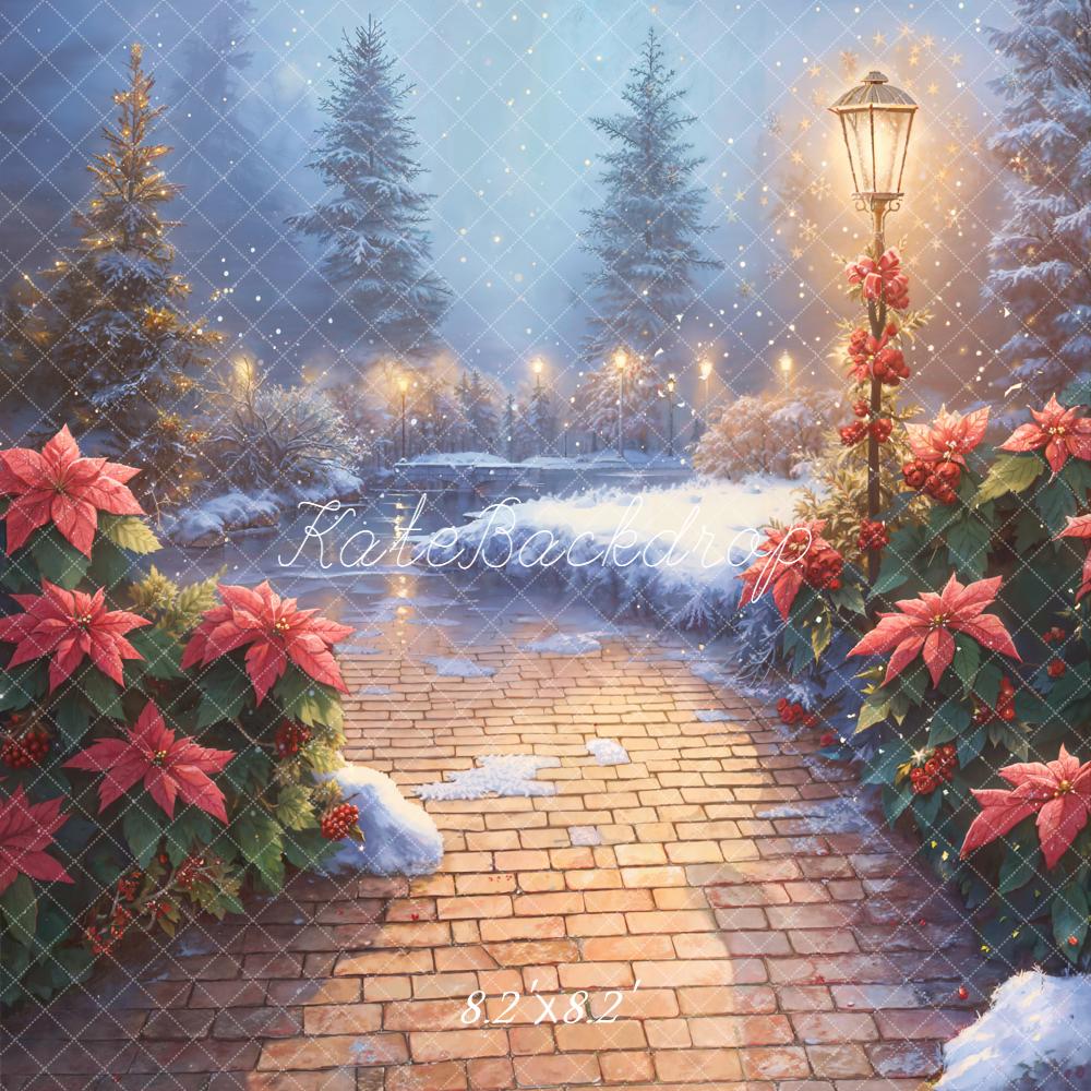 Kate Christmas Snowy Stone Path Poinsettia Lamp Backdrop Designed by Emetselch - Image 5