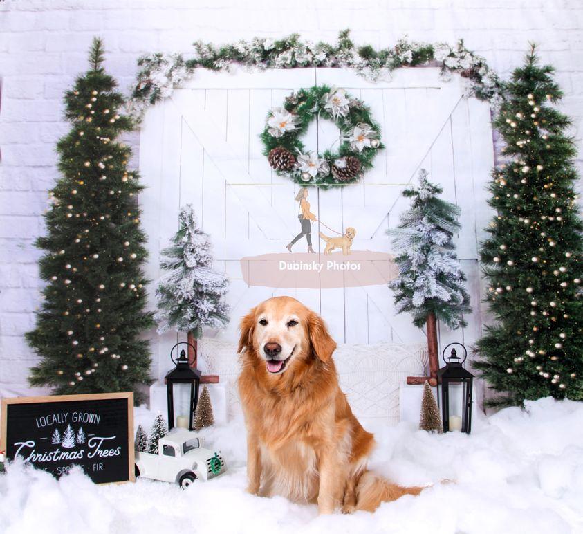 Kate Christmas Tree Backdrop Barn Door Designed by Emetselch
