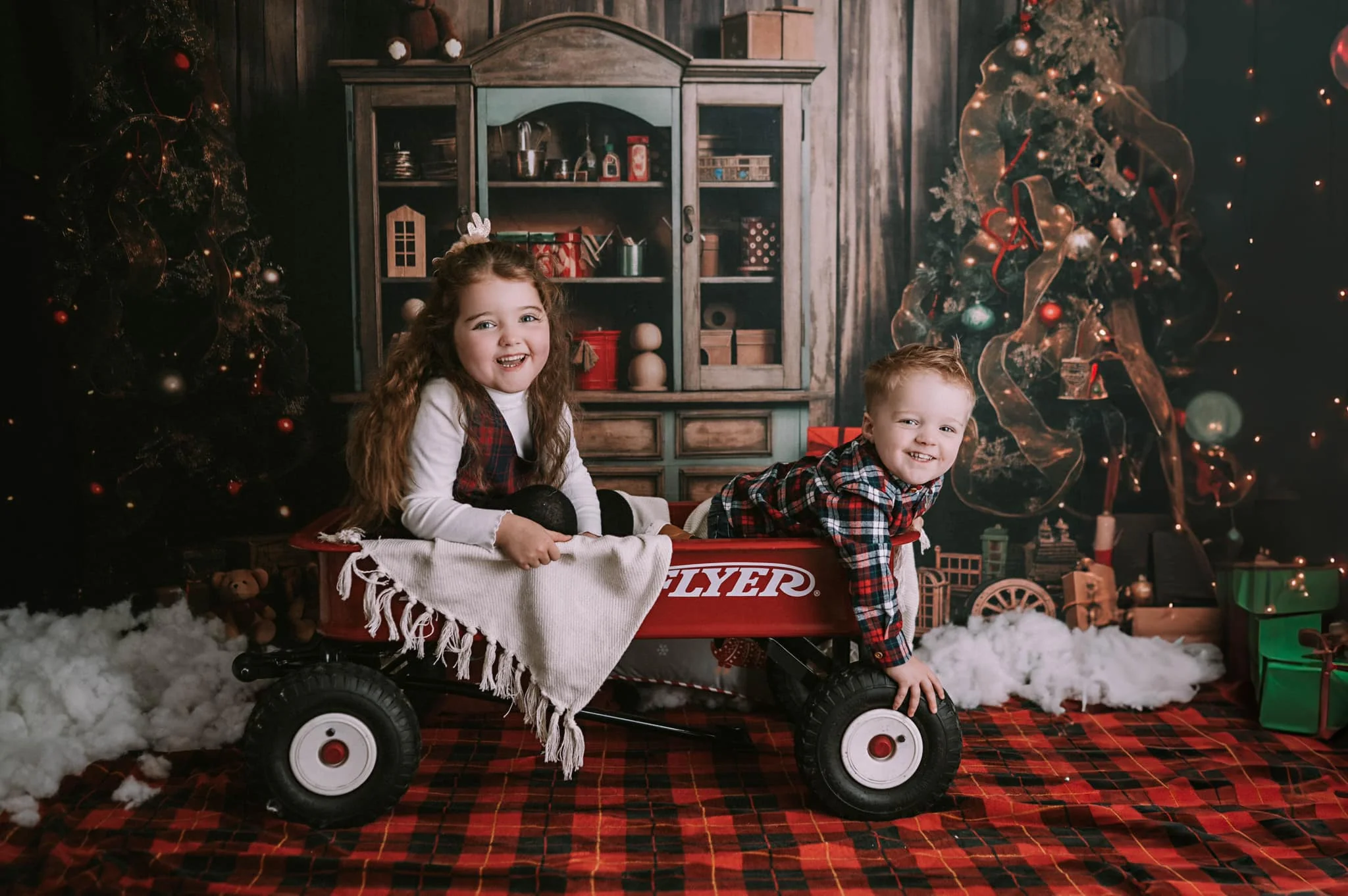 Kate Christmas Tree Bear Bookshelf Backdrop for Photography