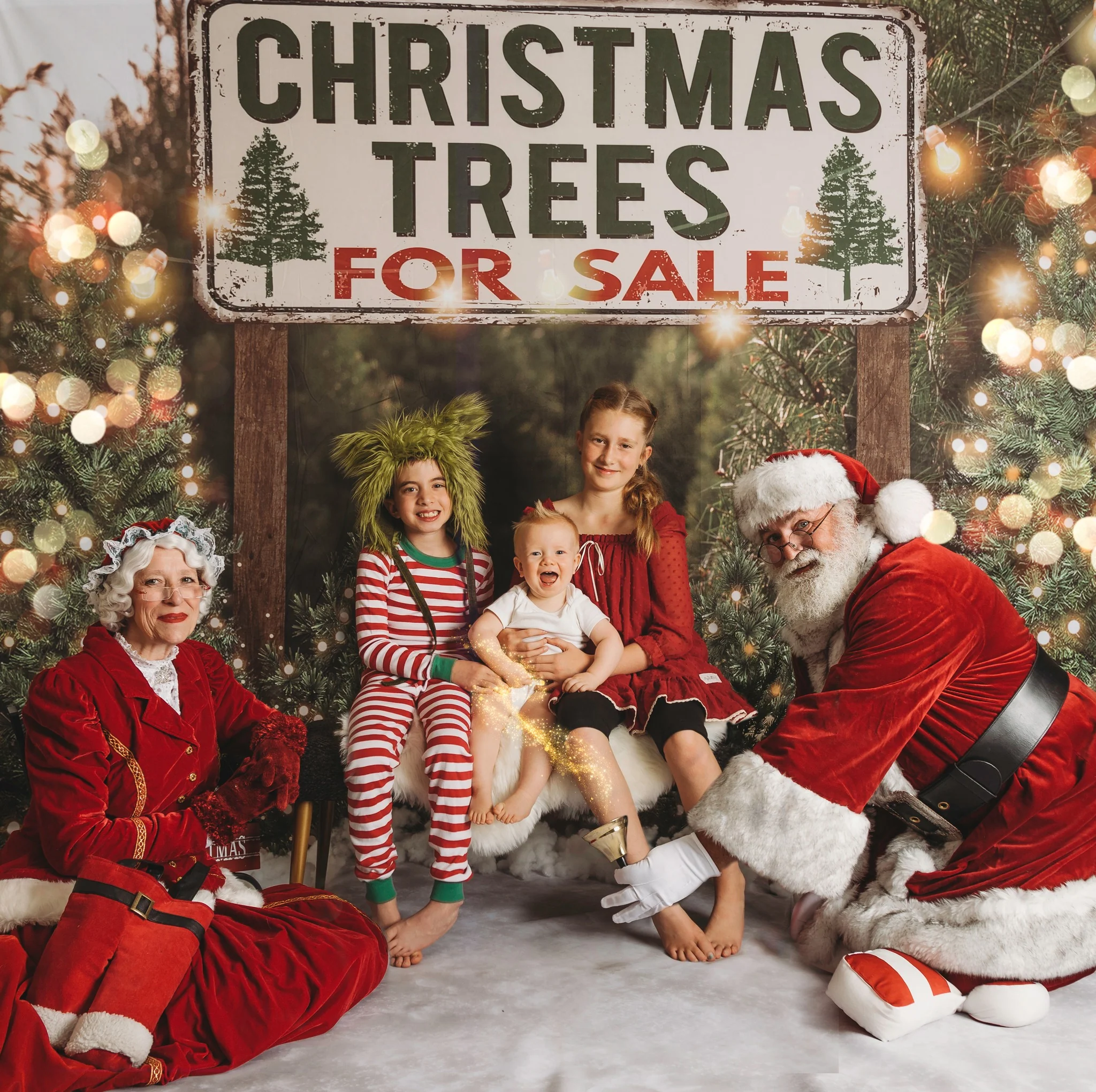 Kate Christmas Trees Backdrop for Photography Designed By JS Photography
