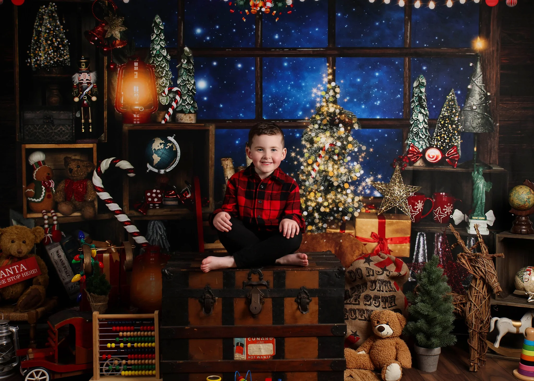 Kate Christmas Window Starry Vintage Backdrop for Photography