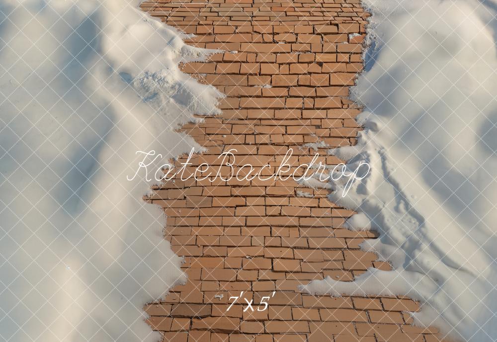 Kate Cobblestone Path Snow Floor Backdrop Designed by Emetselch