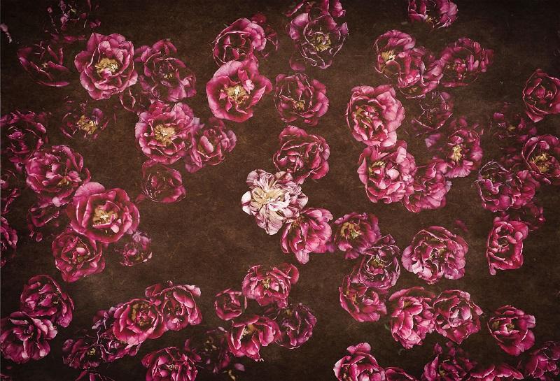 Kate Red retro Flowers Valentine's Day Backdrop for Photography designed by Jerry_Sina - Image 2