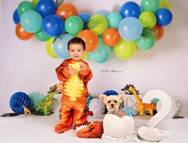 Kate Dinosaur Birthday Balloons Backdrop Designed By Mandy Ringe Photography