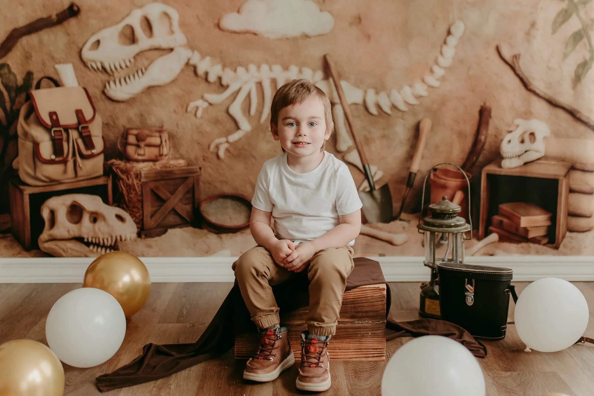 Kate Dinosaur Fossil Dig Adventure Backdrop Designed by Patty Robert