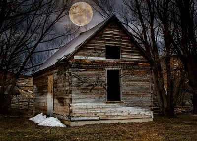 Kate Farm Wood House Nightfall Backdrop Designed By Lisa Olson
