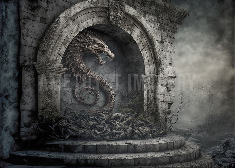 Kate Gray Dragon Stone Fantasy Wall Backdrop Designed by Angela Marie Photography