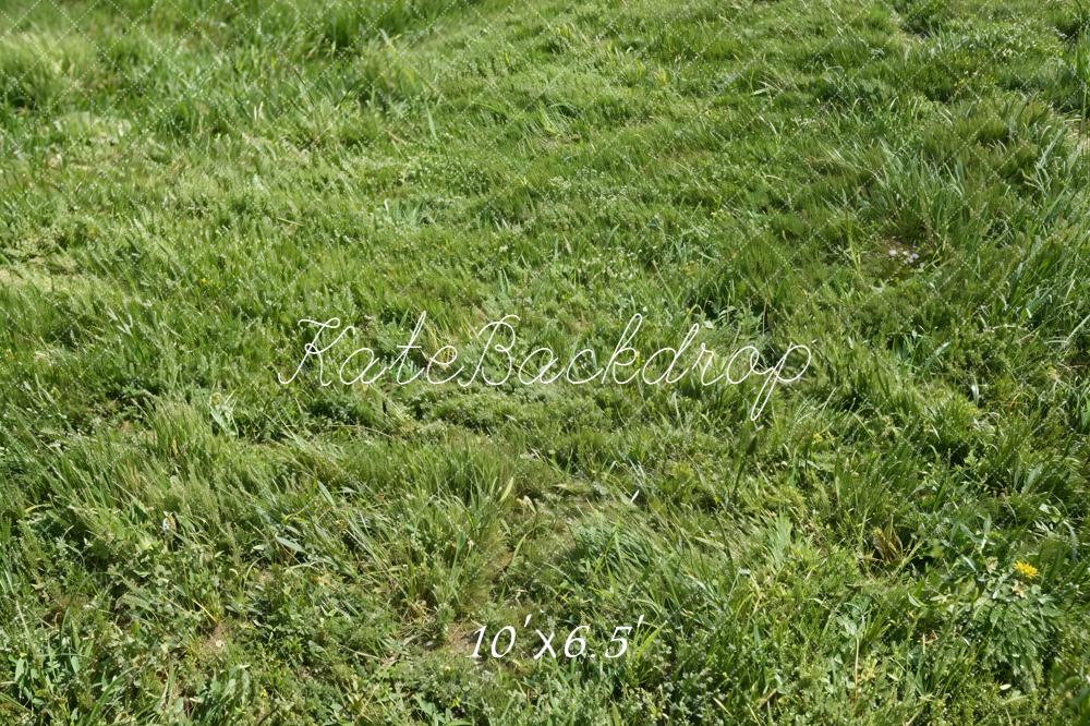 Kate Green Grass Field Fleece Backdrop Designed by Kate Image - Image 2