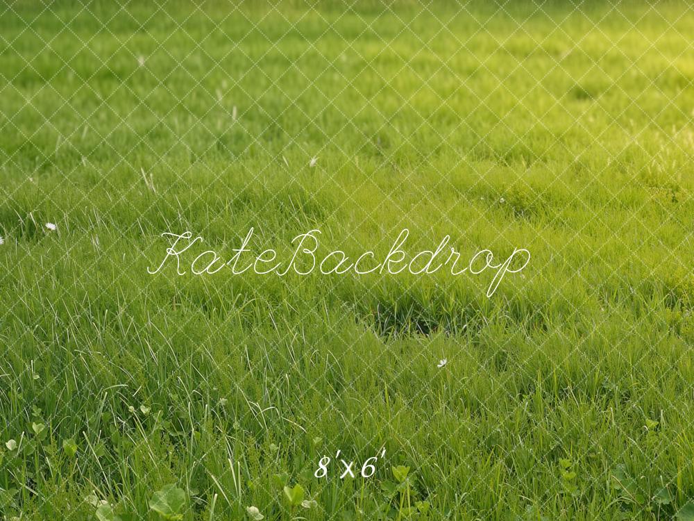 Kate Green Grass Field Fleece Backdrop Designed by Emetselch