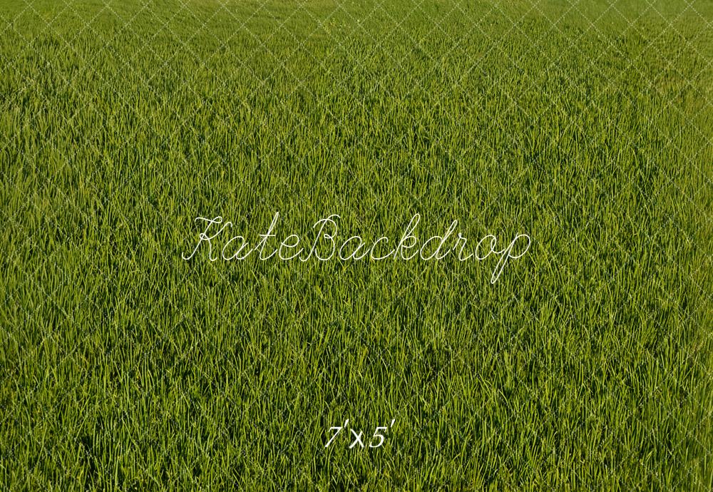 Kate Green Grass Texture Floor Backdrop Designed by Emetselch