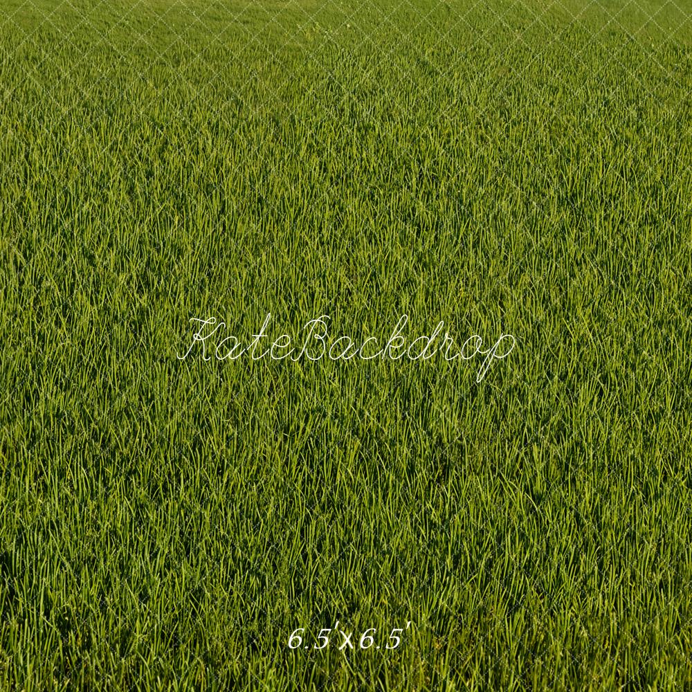 Kate Green Grass Texture Floor Backdrop Designed by Emetselch - Image 2