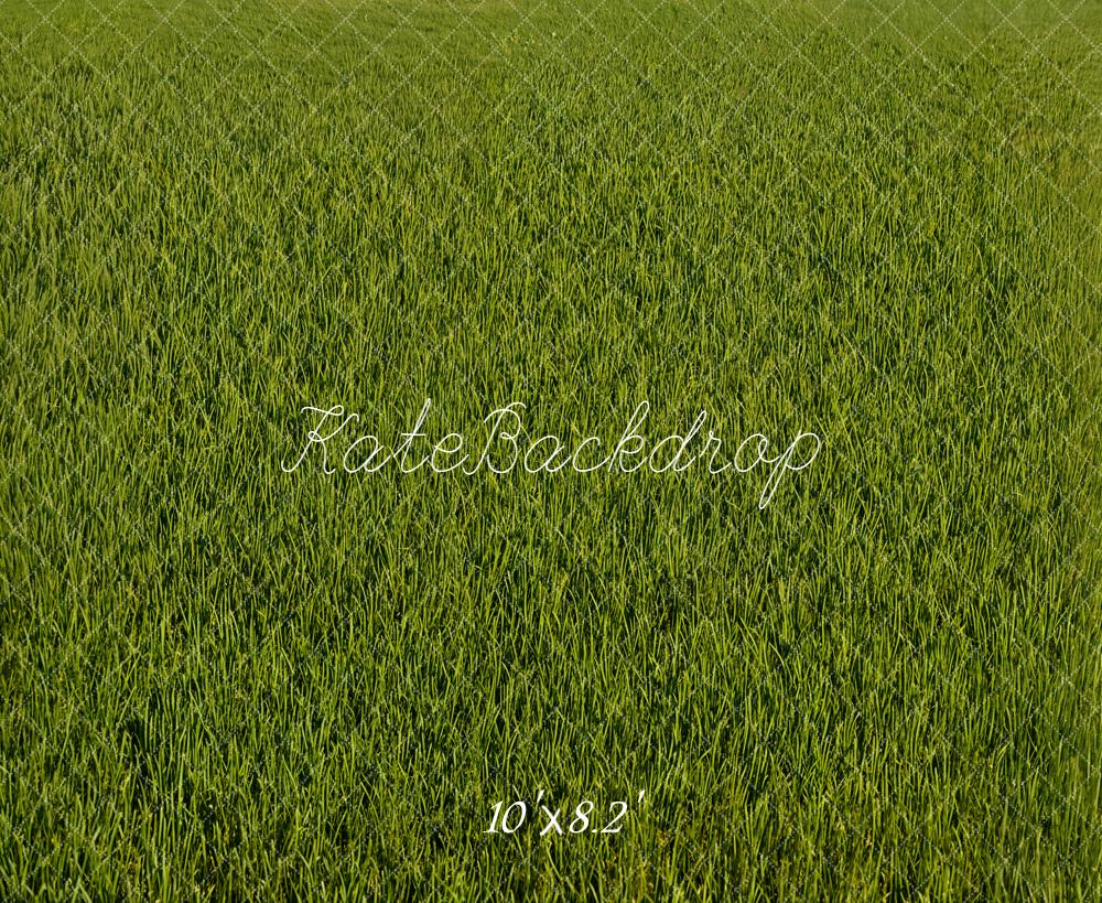 Kate Green Grass Texture Floor Backdrop Designed by Emetselch - Image 6