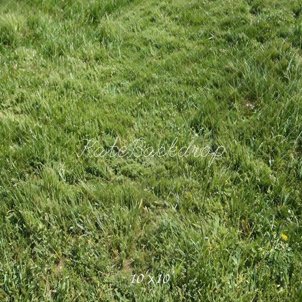 Kate Green Grass Texture Floor Backdrop Designed by Kate Image - Image 7