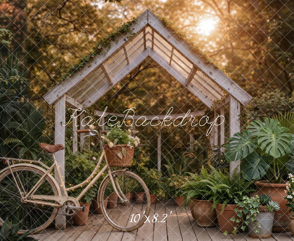 Kate Greenhouse Bicycle Potted Plants Sunlight Backdrop Designed by Emetselch - Image 6