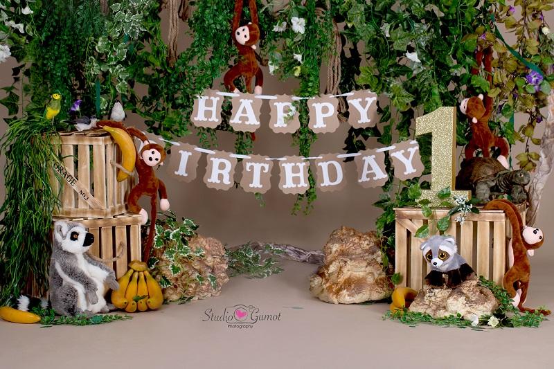 Kate Jungle cartoon zoo animals Summer backdrop 1st cake smash designed by studio gumot - Image 2