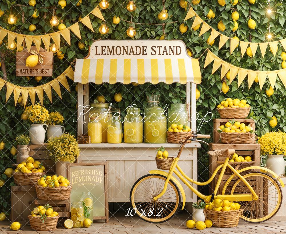 Kate Lemonade Stand Lemons Baskets Bicycle Fleece Backdrop Designed by Emetselch - Image 3