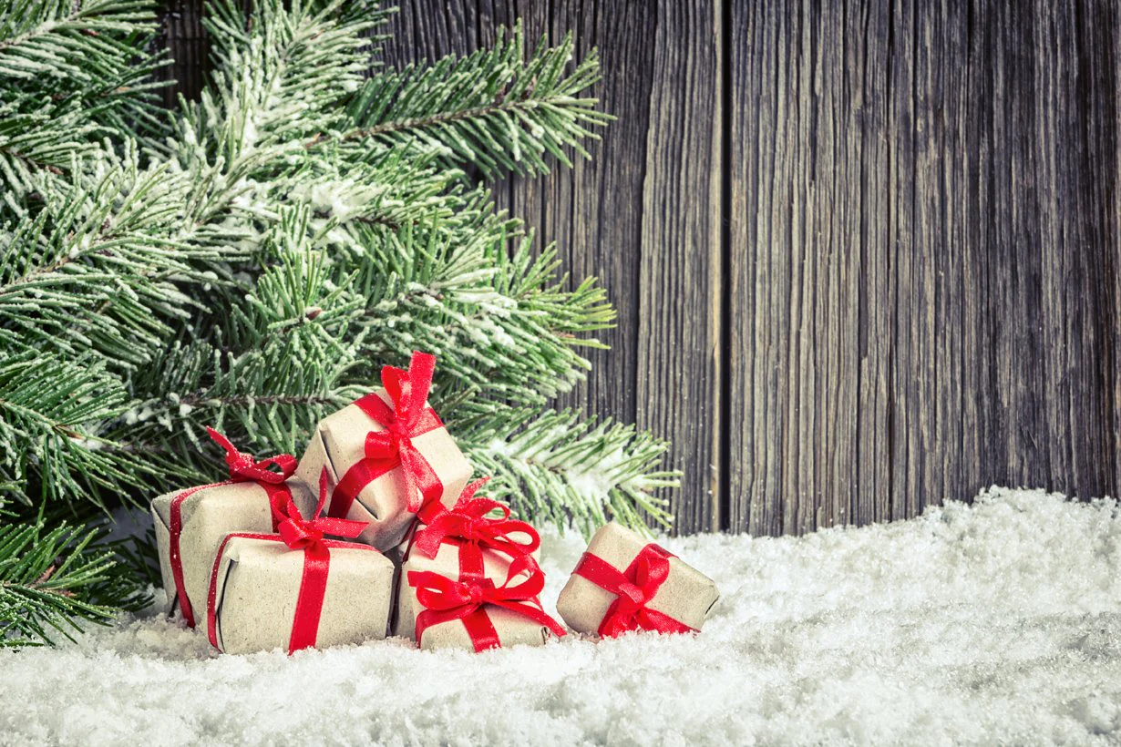 Kate pine with box dark Background for Christmas photography