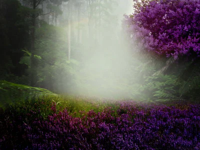 Kate Purple Lavender Flower Forest Backdrop for Photography Designed by Jerry_Sina