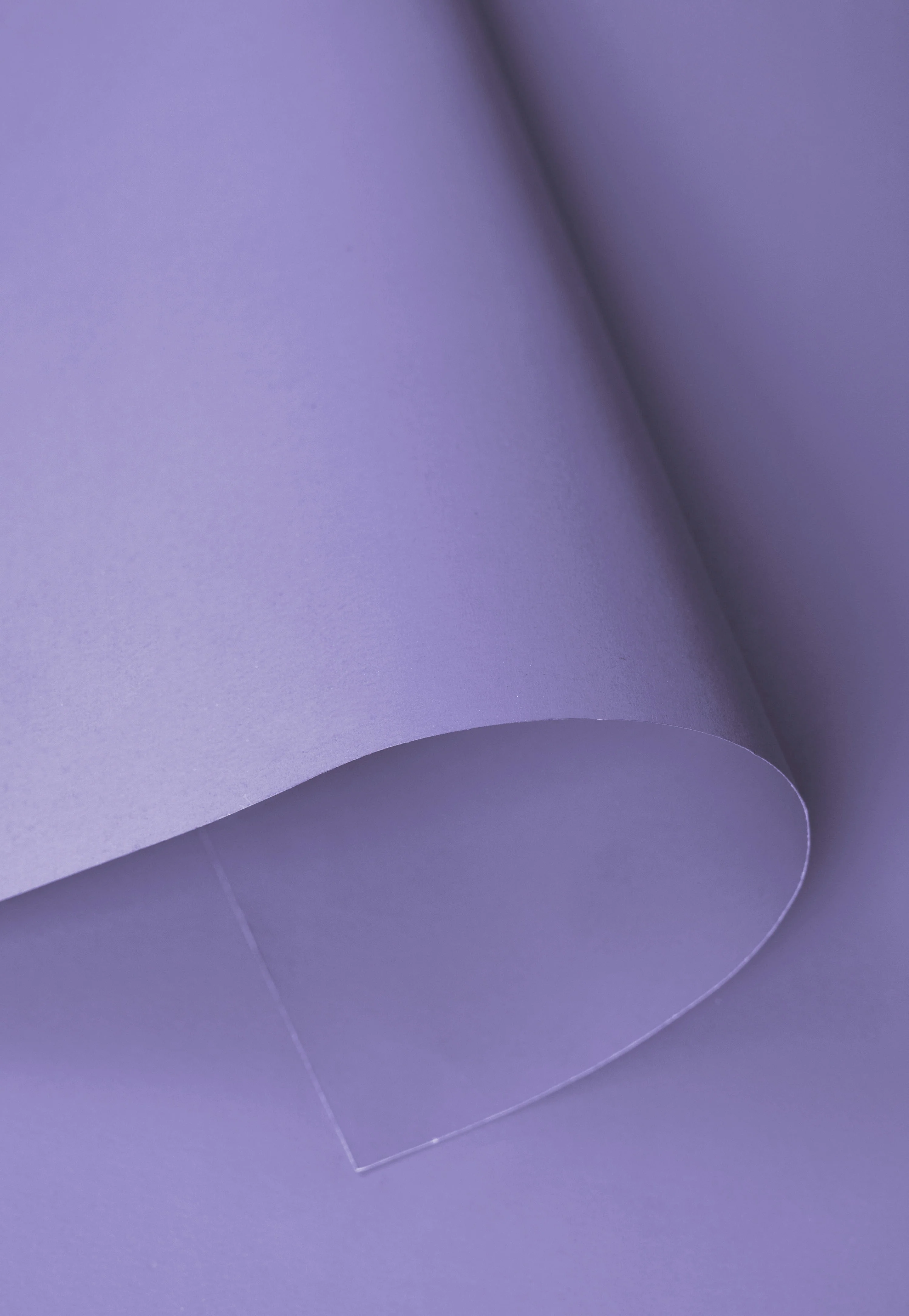 Kate Seamless Paper Backdrop for Photography - Image 68