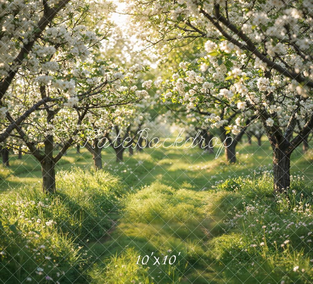 Kate Spring Flowering Orchard Path Backdrop Designed by Emetselch - Image 7