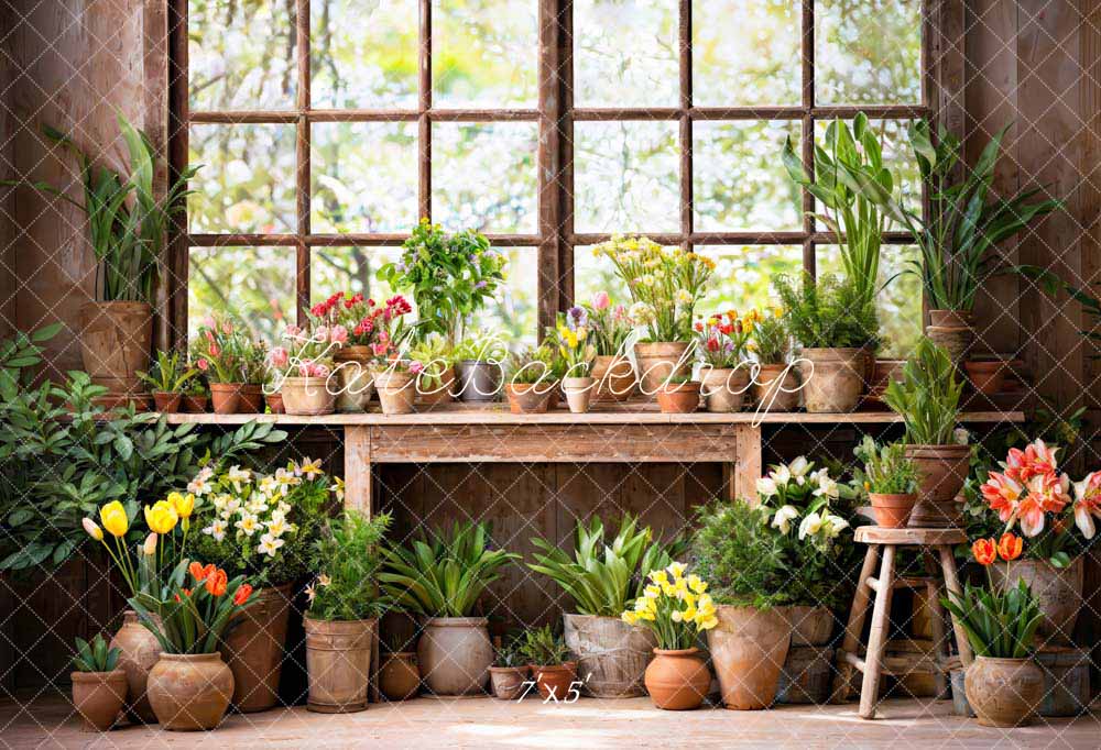 Kate Spring Green Plant Window Room Backdrop Designed by Chain Photography