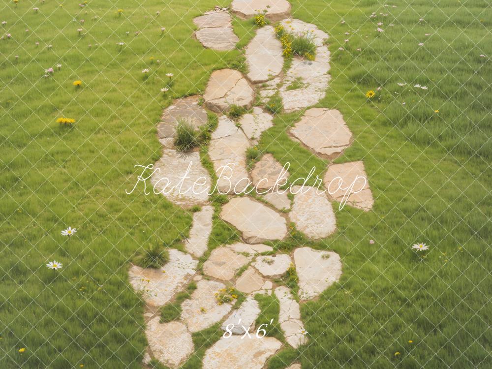 Kate Stone Path Meadow Floor Fleece Backdrop Designed by Emetselch