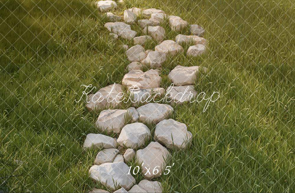Kate Stone Pathway Grass Field Floor Backdrop Designed by Kate Image - Image 4