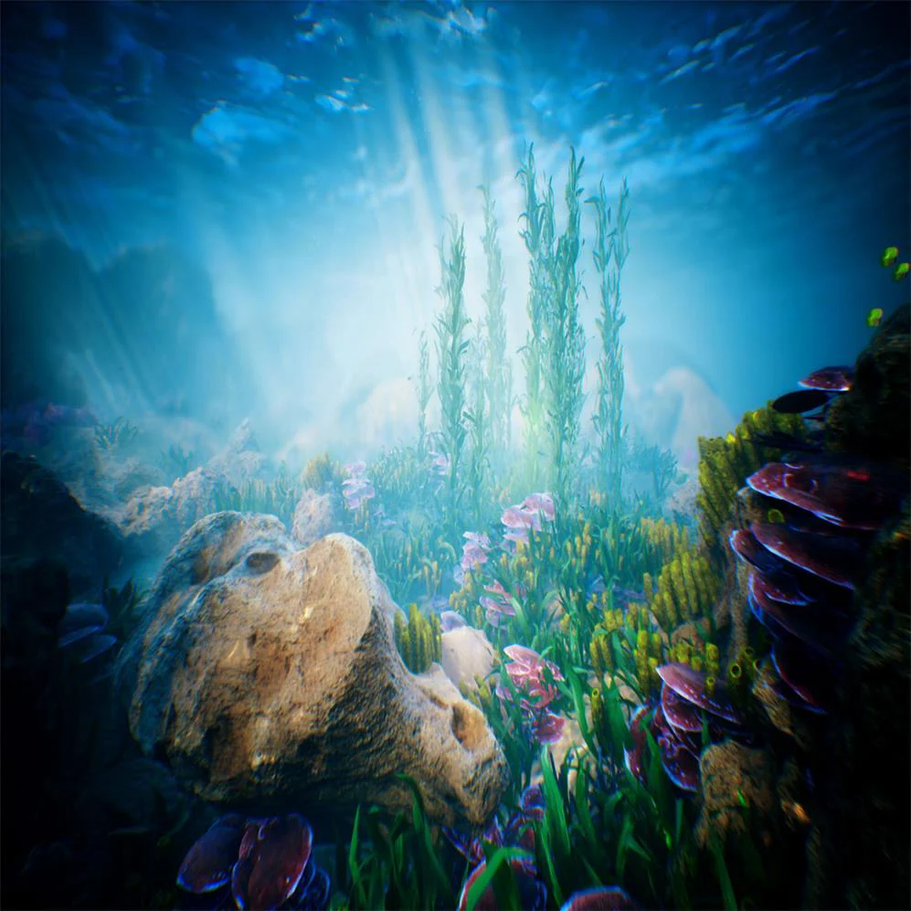 Kate Summer Underwater world backdrop for Photography - Image 7