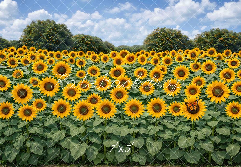 Kate Sunflower Field Butterfly Blue Sky Backdrop Designed by Mini MakeBelieve