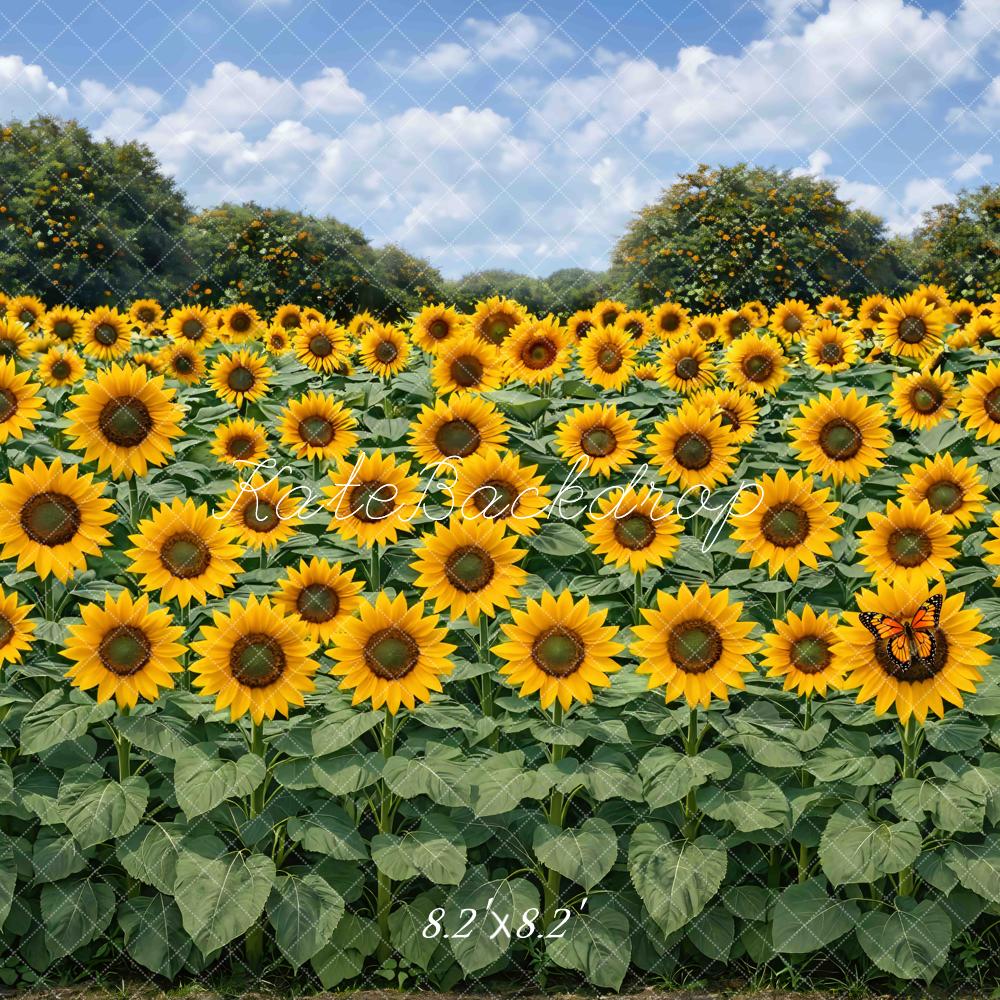 Kate Sunflower Field Butterfly Blue Sky Backdrop Designed by Mini MakeBelieve - Image 5