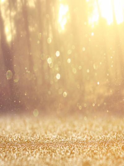 Kate Sunshine Gold Forest Backdrop for Photography