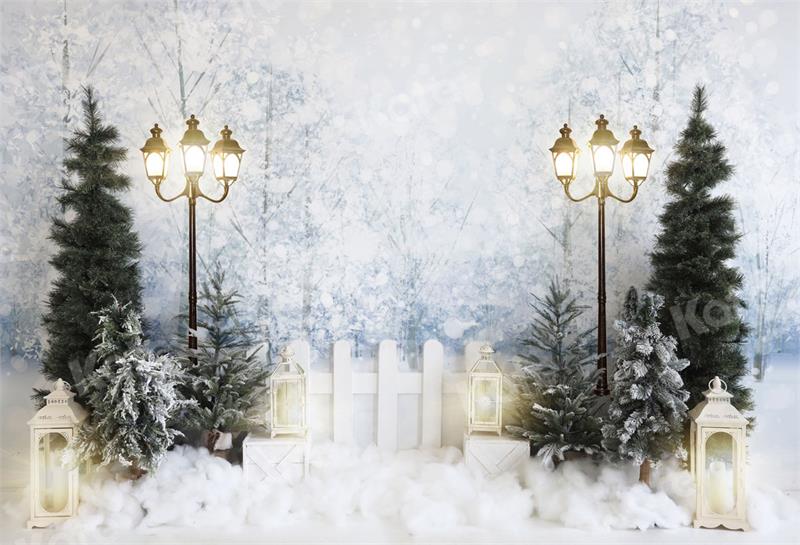 Kate Winter Snow Fence Backdrop for Photography