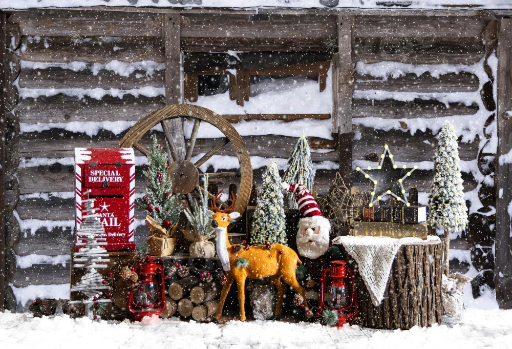 Kate Winter Snowy Christmas Backdrop for Photography