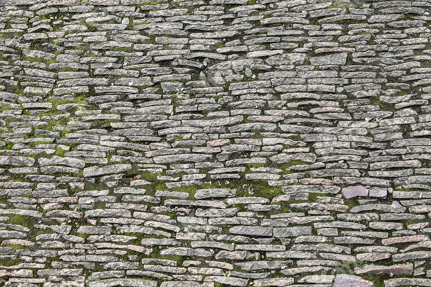 Kate Stones Brick Wall Backdrop Designed by Jia Chan Photography